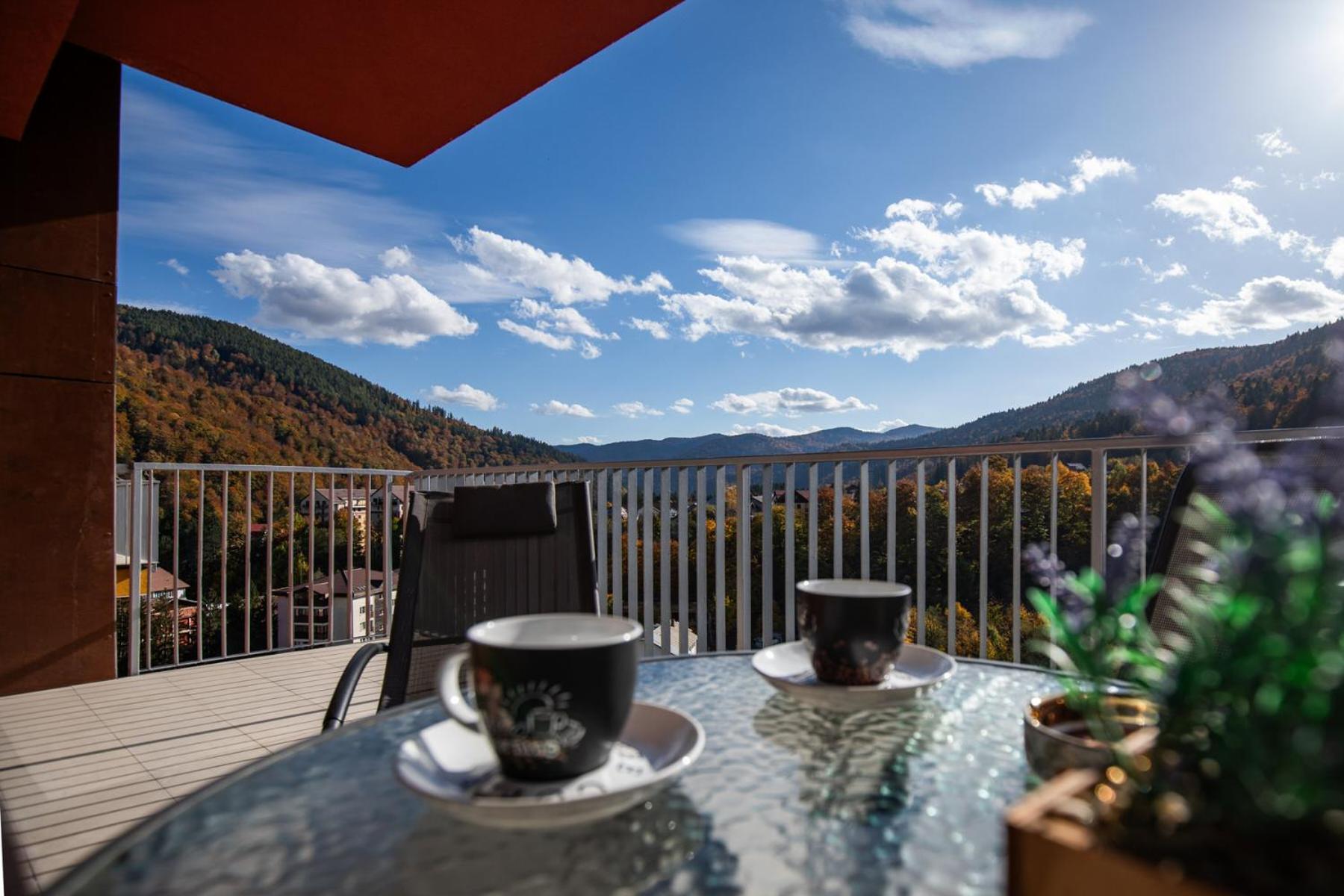Top View Apartment Sinaia Bagian luar foto